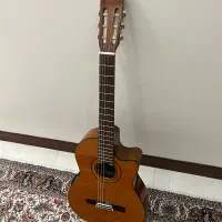 گیتار آریا ak80‌پیکاپخور