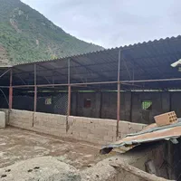 زمین باغی و دامداری مجوز دار|فروش دفتر صنعتی، کشاورزی، تجاری|گرگان, |دیوار