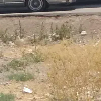 زمین مسکونی چهاردیواری قلفتی قیمت مناسب