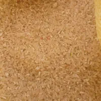 انواع برنج شیروان|خوردنی و آشامیدنی|بدره, |دیوار