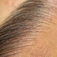 آموزش تخصصی تاتو صورت|خدمات آموزشی|مشهد, کوثر|دیوار