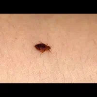 خدمات سم پاشی وشرکت‌ با کد ثبتی