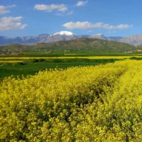 زمین مسکونی۱۸۶مترکشمش تپه|فروش زمین و ملک کلنگی|ماکو, |دیوار