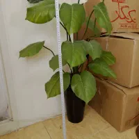 گل مصنوعی