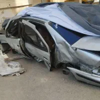 سمند تصادفی