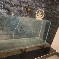 اکواریوم