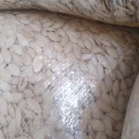 کدو گوشتی ممتاز|عمده‌فروشی|سنندج, |دیوار