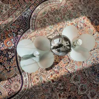 لوستر۲شاخه|لوستر و چراغ آویز|اراک, |دیوار