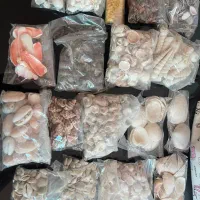 فروش ویژه  ۱۸ بسته صدف زیبا ارسال رایگان