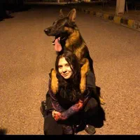 مربی سگ اردبیل / تربیت سگ / آموزش سگ در اردبیل|خدمات آموزشی|اردبیل, |دیوار