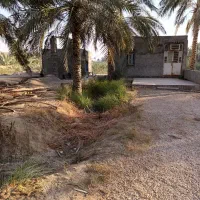 لوازم تلمبه