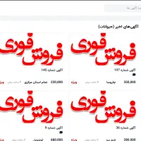 فروش سایت ثبت آگهی|خدمات رایانه‌ای و موبایل|شیراز, زرهی|دیوار