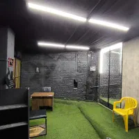 باشگاه ، سالن رزمی آقایان|خدمات آموزشی|اصفهان, صدف|دیوار