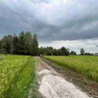فروش-زمین-گلخانه-با-امتیاز-ساخت-یا-تبدیل