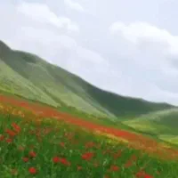 سفروگردش|تور و چارتر|بهشهر, |دیوار