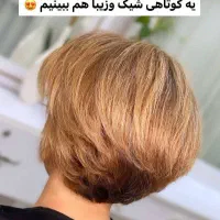 نیازمند مدل کوتاهی