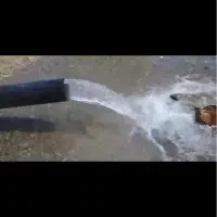 اجاره اراضی کشاورزی در شهر کهنوج