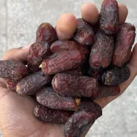 خرمای درجه یک صادراتی پیارم|خوردنی و آشامیدنی|حاجی آباد, |دیوار