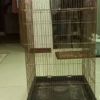 قفس پرنده|لوازم جانبی حیوانات|فردیس, شهرک شهید حسینی|دیوار