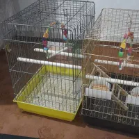 اهن|اسباببازی بچه|فسا, |دیوار