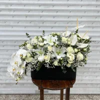 Flower Box|گل و گیاه طبیعی|مشهد, امیر|دیوار