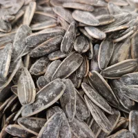 تخمه خوش طعم