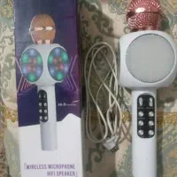 میکروفون اسپیکر استر.مدل WS1816