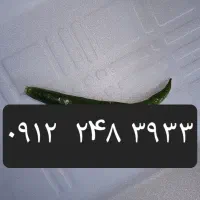 کد۲،رند ،خوش گفتار،پله ای ،تکرار شماره ۳