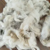 پشم گوسفند شسته شده