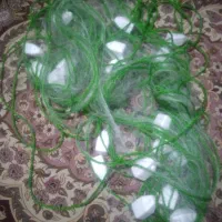 تور ماهیگیری
