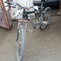 دوچرخه ۲۶|دوچرخه، اسکیت، اسکوتر|مریوان, |دیوار