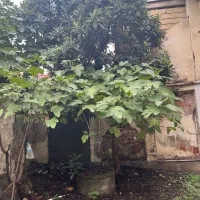 ویلایی مطهری ۱۸۰متری سه بر