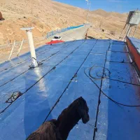 پیمانکاری آسفالت وایزگام.|مصالح و تجهیزات ساختمان|اصفهان, شاهد|دیوار