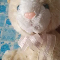 عروسک گربه