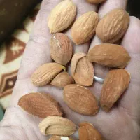 مغز بادام درجه یک