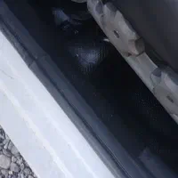 ماشین سایناex|خودرو سواری و وانت|رشت, شهرک قدس|دیوار