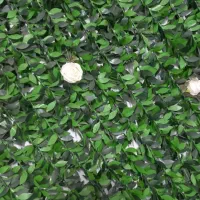 جشنواره یلدایی