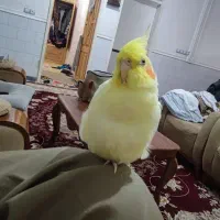 گم شده ساعت ۳