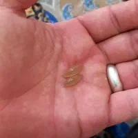 سنگ مهرە اصلی ب شرط کار|بدلیجات|اصفهان, بهارستان|دیوار