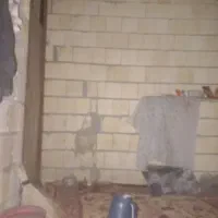 به یک همکارکارگردرگیسوم نیازمندیم