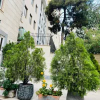 ۹۰متری/۲خواب /موقعیت اداری/ویودار