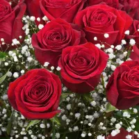 طلای رایگان