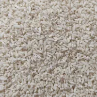 برنج ایرانی هاشمی درجه یک|خوردنی و آشامیدنی|نسیمشهر, |دیوار