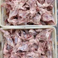 غذای سگ و گربه