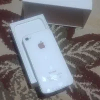 iPhone 4|موبایل|قم, پردیسان|دیوار