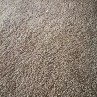 پالاز موکت رنگ کِرمی