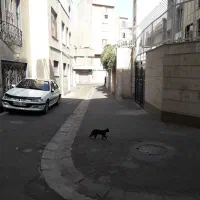 میدان-شکوفه-37-متر-ط-اول