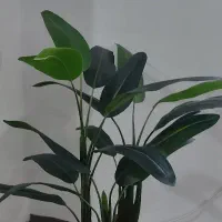 گلدان پرنده بهشتی مصنوعی