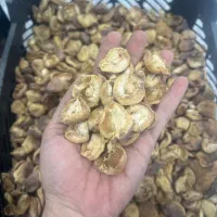 آلوچه و برگه زردآلو