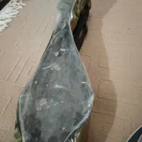 اسکیت خارجی|دوچرخه، اسکیت، اسکوتر|مشهد, صیاد شیرازی|دیوار